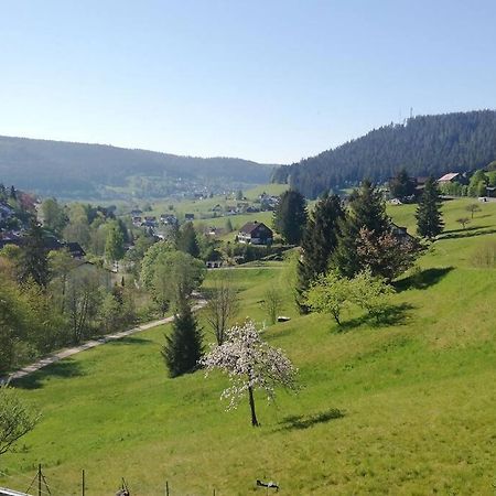 Wohnung Im Tonbachtal/ Baiersbronn Mit Traumausblick Екстер'єр фото