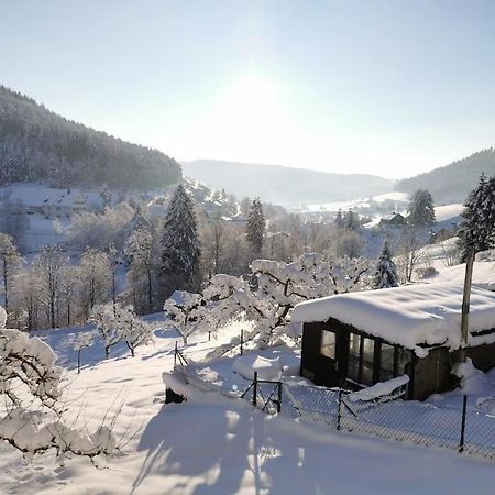 Wohnung Im Tonbachtal/ Baiersbronn Mit Traumausblick Екстер'єр фото