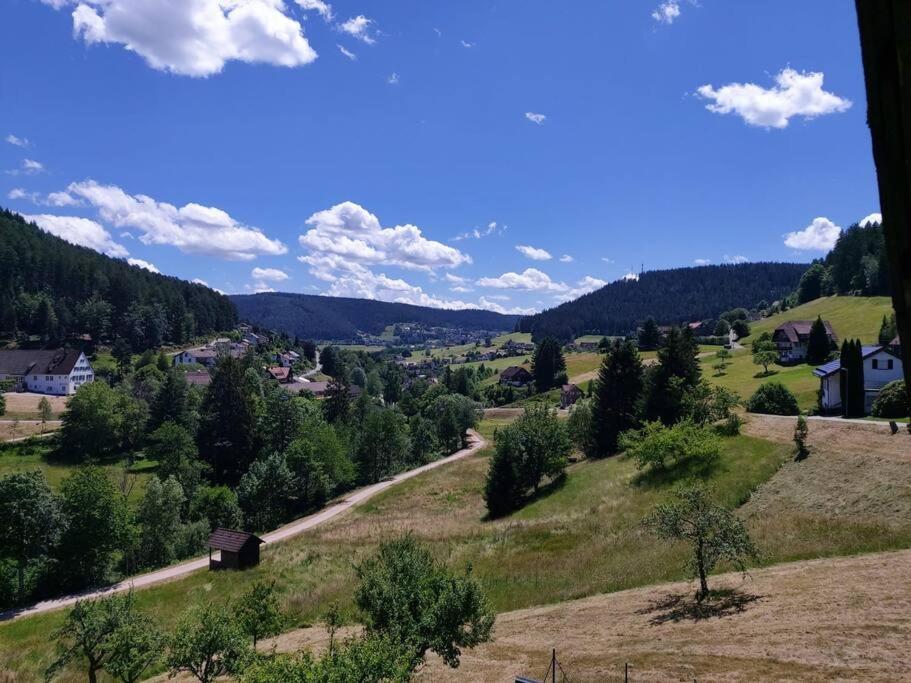 Wohnung Im Tonbachtal/ Baiersbronn Mit Traumausblick Екстер'єр фото