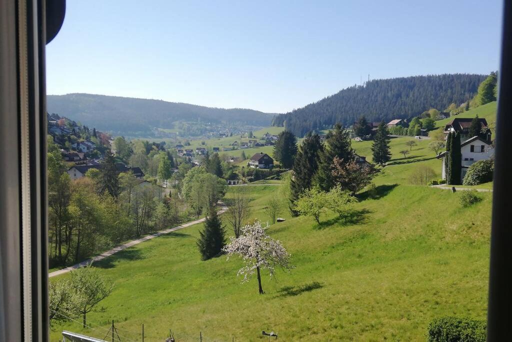 Wohnung Im Tonbachtal/ Baiersbronn Mit Traumausblick Екстер'єр фото