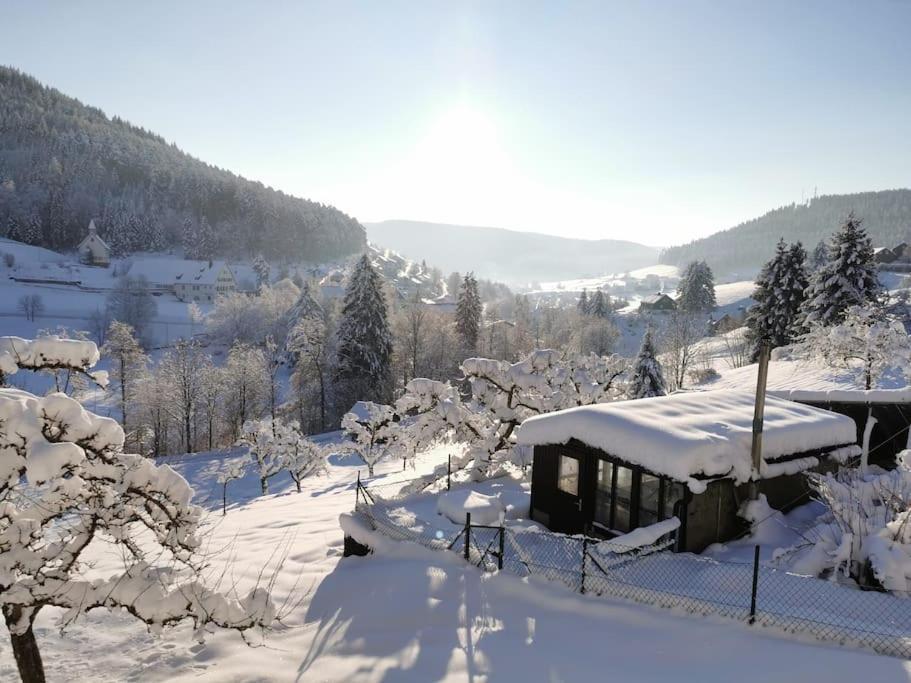 Wohnung Im Tonbachtal/ Baiersbronn Mit Traumausblick Екстер'єр фото