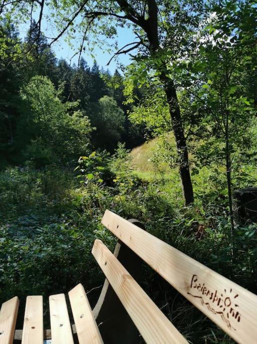 Wohnung Im Tonbachtal/ Baiersbronn Mit Traumausblick Екстер'єр фото