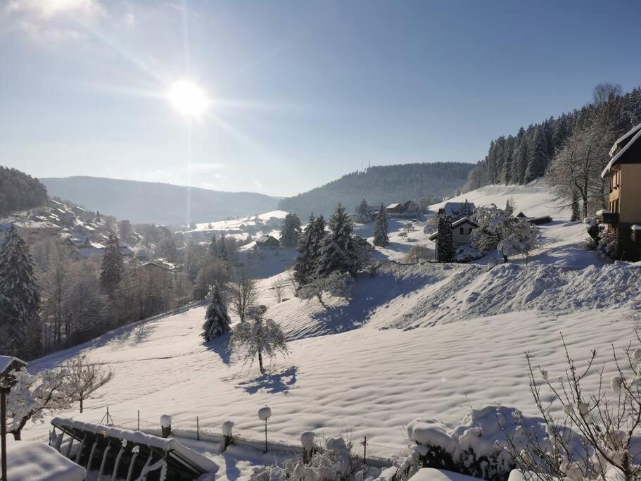 Wohnung Im Tonbachtal/ Baiersbronn Mit Traumausblick Екстер'єр фото