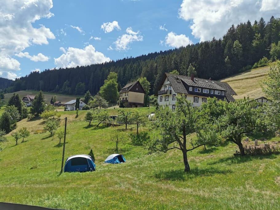 Wohnung Im Tonbachtal/ Baiersbronn Mit Traumausblick Екстер'єр фото